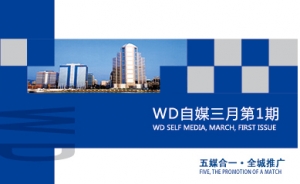 WD自媒体三月第1期